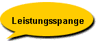 Leistungsspange